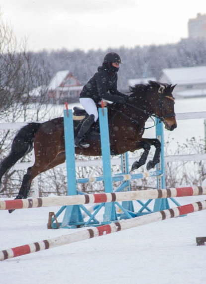 Конный спорт.